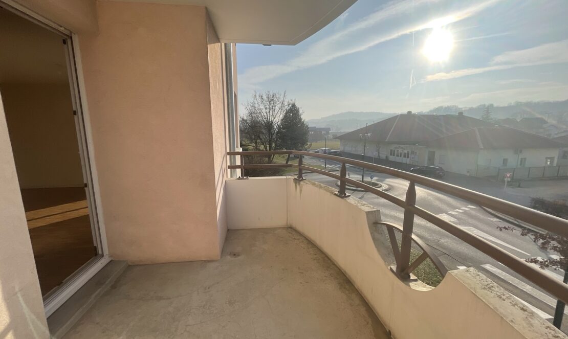 IMG 0735